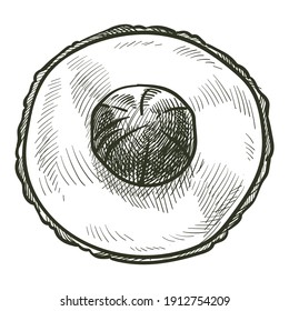 Exotic fruit, isolated avocado pear with seed. Product with vitamins and minerals. Nutritious ingredient for salads. Vegan and vegetarian food. Monochrome sketch outline, vector in flat style