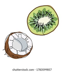 Exotic fruit kiwi slice healthy diet vector graphics illustration tropical art