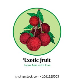 Exotic fruit logo with text hand drawn litchi bunch in a circle, tropical plant 
sketch vector illustration, for packaging, logotype, avatar, social media, business card, product label, fruit sticker.