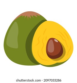 Exotic fruit lucuma vector isolated. Illustration of a tropical fresh, sweet product. Slice of lucuma with a seed inside. Full of protein food.
