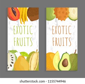 Exotic fruit menu vector cover template for restaurant and cafe. Mamey and citron, marang and ambarella, kivano and avocado, soursop and melon vector