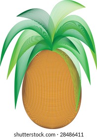 exotic fruit on the white background