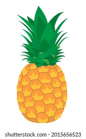 Exotic fruit pineapple on a white background. Isolated vector illustration