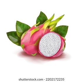 Exotic fruit pitahaya. Vector illustration.