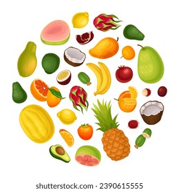 Composición redonda de frutas exóticas con plantilla de vectores de cultivos de jardín dulce brillante