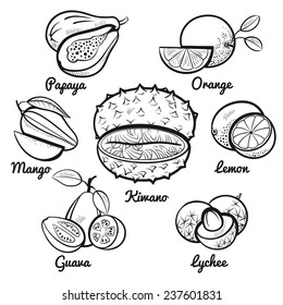 exotic fruit set colorful outline illustration kiwano orange lemon mango guava Lychee papaya