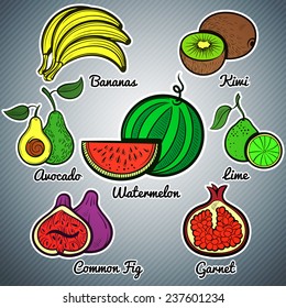 exotic fruit set colorful vector illustration watermelon lime kiwi garnet bananas fig avocado