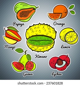 exotic fruit set colorful vector illustration kiwano orange lemon mango guava Lychee papaya