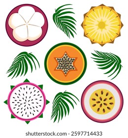 Exotic fruit slices with leaves vector illustration 