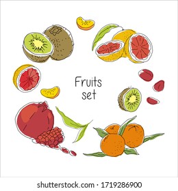 Exotic fruit targerine, grapefruit, kiwi, garnet
