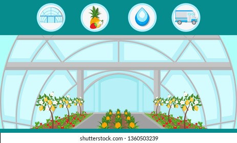 Exotic Fruit Trees Indoor Cultivation Illustration. Pineapples, Lemons Growing and Harvesting. Cartoon Wild Strawberries Bushes Rows in Greenhouse. Glasshouse Plantation. Horticulture Business