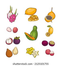 Vector de fruta exótico sobre fondo blanco.