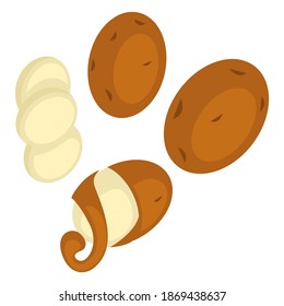 Exotic fruit or vegetable peel and whole product. Isolated icon of asian food or potato. Cooking and preparing delicious meal, vegetarian and vegan menu in diners and restaurants. Vector in flat style