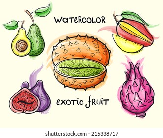 exotic fruit watercolor vector sketch set