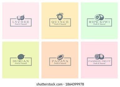 Exotic Fruits Abstract Vector Signs, Symbols or Logo Templates Collection. Hand Drawn Lychee, Passion Fruit, Quince, Durian, Papaya and Kiwi Sketches in Frames Set. Luxury Emblems Bundle. Isolated.