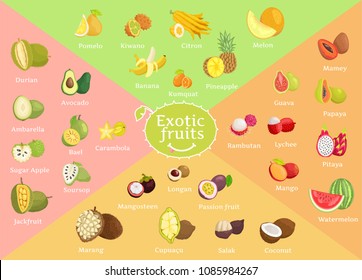 Exotic fruits collection color vector illustration of pomelo kiwano citron pineapple melon and banana, tasty food set, bael mango and mamey fetus