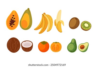 Exotic fruits collection including papaya, bananas, and coconuts. Simple tropical food design. Vector illustration isolated on white background