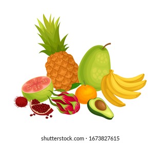 Exotic Fruits Composition with Pitaya and Pineapple Vector Illustration