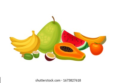 Composición de frutas exóticas con trozo de sandía e ilustración vectorial Papaya