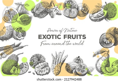 Exotic fruits frame. Vintage vector hand-drawn illustration.