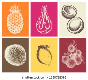 Exotic fruits hand drawn sketches. Pineapple, pitahaya dragon fruit, coconut, lemon, litchi organic food. Vintage retro style colorful cards. Vegan products, vegetarian menu, packaging sticker, label.