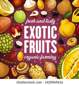 Exotic fruits harvest of durian, tamarind and cherimoya, ackee apple and quince pear. Vector juicy citrus pomelo, kumquat and tropic santol, jabuticaba fruits and tropical ambarella