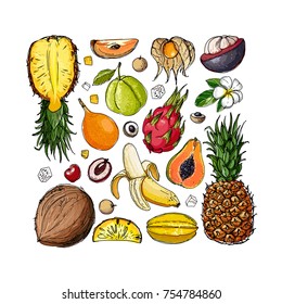 Exotic fruits on a white background in a square. A sketch of food. Coconut, Physalis, mangosteen, pineapple, banana, jackfruit