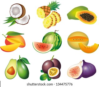 exotic fruits photo-realistic vector set