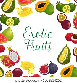 Exotic fruits poster of papaya, durian or mango and feijoa, fresh tropical orange pomelo, mangosteen or rambutan and mango, dragon fruit pithaya, maracuya passion fruit or figs and guava for shop