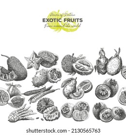 Exotic fruits seamless pattern horisontal. Sketchy vector hand-drawn background.