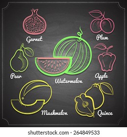 exotic fruits set color chalk painted on black chalkboard vector illustration 