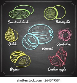 exotic fruits set color chalk painted on black chalkboard vector illustration 