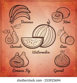 exotic fruits set on vintage paper background vector illustration