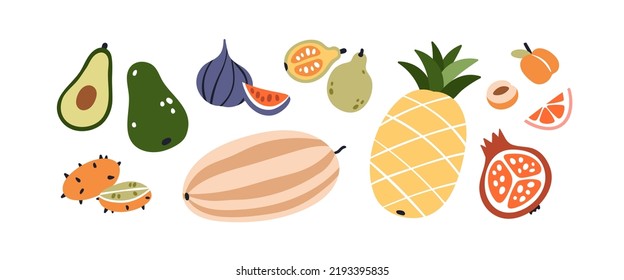 El conjunto de frutas exóticas. Alimentos de verano con vitamina tropical. Nutrición dulce saludable y madura. Cortar aguacate, higo, piña, medio granado, albaricoque. Ilustraciones de vectores planos de color aisladas en fondo blanco