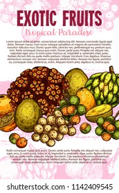 Exotic fruits sketch poster with fresh tropical berries of palm tree. Pandan, cherimoya and mamoncillo, membangan, mombin, longkong and naranjilla fruits for natural juice and fruity dessert design