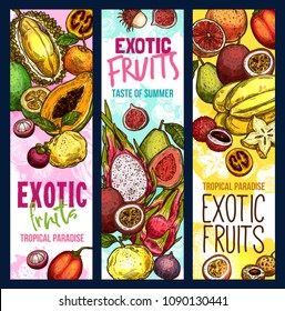 Exotic fruits and tropical fruit harvest banners. Vector sketch design of fresh mangosteen, exotic jackfruit and lychee or mango, dragonfruit pithaya and papaya, rambutan and passion fruits