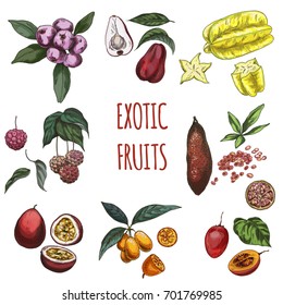 Exotic fruits, vector hand drawn collection. Carambola, acmena, malay apple, cornus kousa, finger lime, maracuja, kumquat, tamarillo