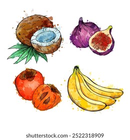 Exotic fruits, vector set hand drawn sketch watercolor illustration on white background.