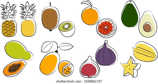 Conjunto vectorial de frutas exóticas. Parte 1