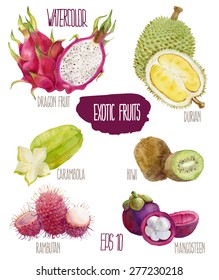 Exotic fruits. Vector watercolor illustration.