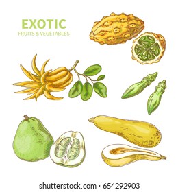 Exotic fruits and vegetables. Vector illustration made in realistic style.