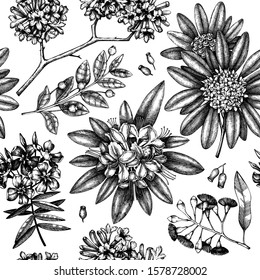 Exotic garden plants seamless pattern. With vintage flowers, evergreen, flowering plants. Vector design with hand drawn botanical elements. For wrapping paper, greeting cards, banners, packaging.