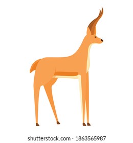 Exotic gazelle icon. Cartoon of exotic gazelle vector icon for web design isolated on white background