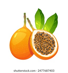 Exotische Granadillafrucht.Granadilla oder gelbe Passionsfrucht mit Blättern.Vektorillustration.