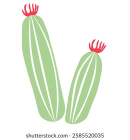 An exotic green cactus with  red flower on  white isolated background. Plant of the desert, plains, Texas, Mexico. Prickly cute creation of nature. Cartoon striped succulent.