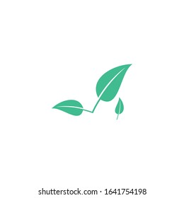 Exotic Green Leaf Vector Design