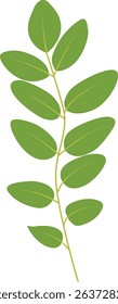 Exotic Green Tropical Leaves Illustration in Flat Design. Vector Element