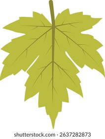 Exotic Green Tropical Leaves Illustration in Flat Design. Vector Element