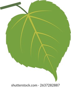 Exotic Green Tropical Leaves Illustration in Flat Design. Vector Element