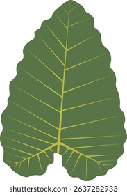 Exotic Green Tropical Leaves Illustration in Flat Design. Vector Element